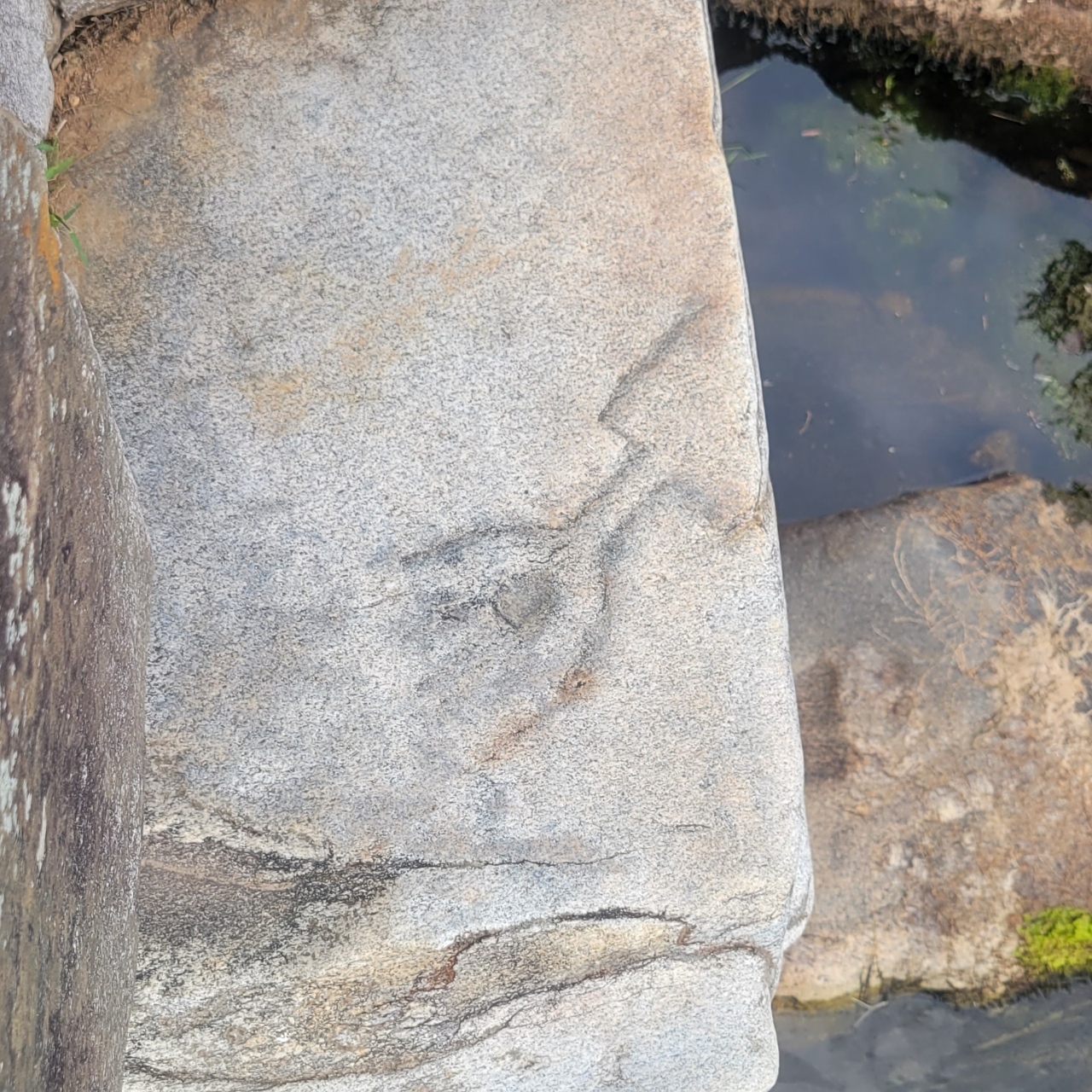 Jumping Man Petroglyph